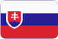 Biela korková magnetická tabuľa Slovensky